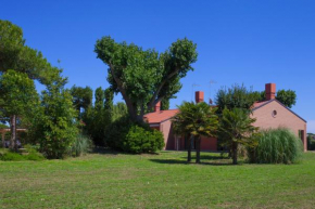 Cà Del Pioppo, Cavallino